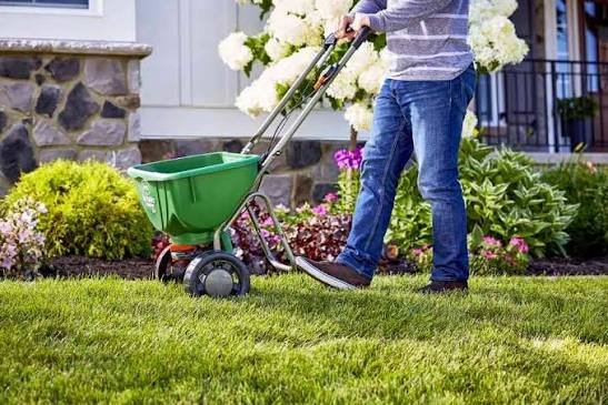 The Secret to a Vibrant, Weed-Free Lawn All Year Round